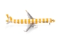 Mobile Preview: Herpa 572576 - Condor Airbus A321 “Sunshine” – D-AIAD - 1:200